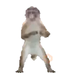 Monito bailando 🐒