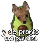 y de pronto una puchaina 🎶🥑