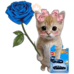 Hot wheels 🏎️ Ramo azul 💐💙