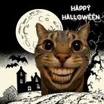 Memes Gatos Halloween 🎃 😸
