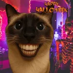 Memes Gatos Halloween 🎃 😸