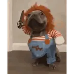 Memes - Halloween - 2025