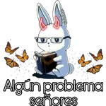 《Conejo negro🖤》 