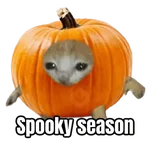 Memes - Halloween 🎃👻