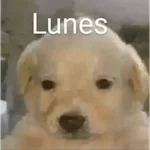 Lunes con L de Long 🤣🤣