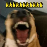 TODO MUNDO USA ESSAS🔝🤣
