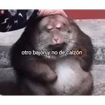 🤙 SHITPOST FOR YOU 😎