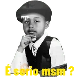 Meus gato