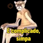 Meus gato