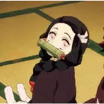 😈⚔️ Demon Slayer 🐗🔥🗡️🏯