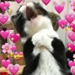 Meme Salting Bucin 🤭🥰 #2