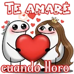 Amor Florksitos 🩷✨