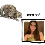 villar, el gato