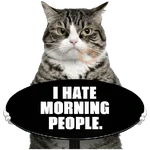 😾 Gatos haters 🐈‍⬛Hate morning