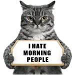 😾 Gatos haters 🐈‍⬛Hate morning
