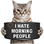 😾 Gatos haters 🐈‍⬛Hate morning