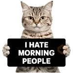 😾 Gatos haters 🐈‍⬛Hate morning