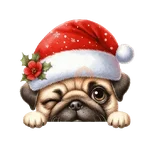 🐕🎄Navidad perritos funny 🎄🐕🤣