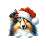 🐕🎄Navidad perritos funny 🎄🐕🤣