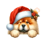 🐕🎄Navidad perritos funny 🎄🐕🤣