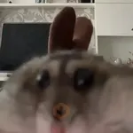 🎵 TIKTOKeando 41🎵