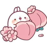 conejitos cute💖 