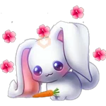 conejitos cute💖 