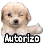 COMBO de Stickers #③ 🧉