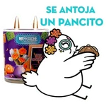 Entre flores y recuerdos 🏵️🕯️