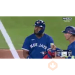 BlueJays - MLB - Baseball 