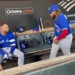 BlueJays - MLB - Baseball 