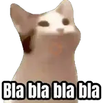 Gatos para el chat 🐱🤣