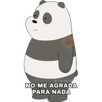 Osos Escandalosos 