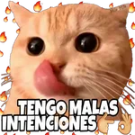Gato goloso😋 