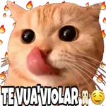 Gato goloso😋 