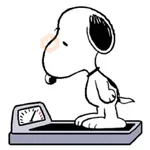 Snoopy fitness 