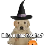 Dulce o? 🐶🎃 