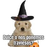 Dulce o? 🐶🎃 