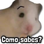 🐾 COMBO de Stickers #➎