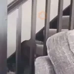 Cat gifs😼