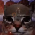 ✨💥ShiSpOST CaTS😹