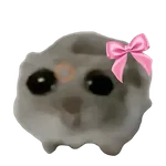 🎀 Coquette - Memes - 🎀