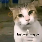 Meme Reaction Tiktok #2