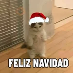 Navidad 🎄♥️