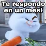 💫 Snowball rebelde 2 ❣️