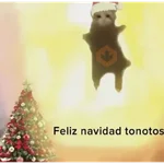 Navidad 