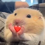 Amor