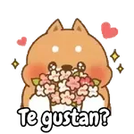 Flores de amor para ti 🌹😘