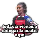 Señora del mercado