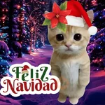 🎄🎅🏻 Navidad cat 🐈🎄